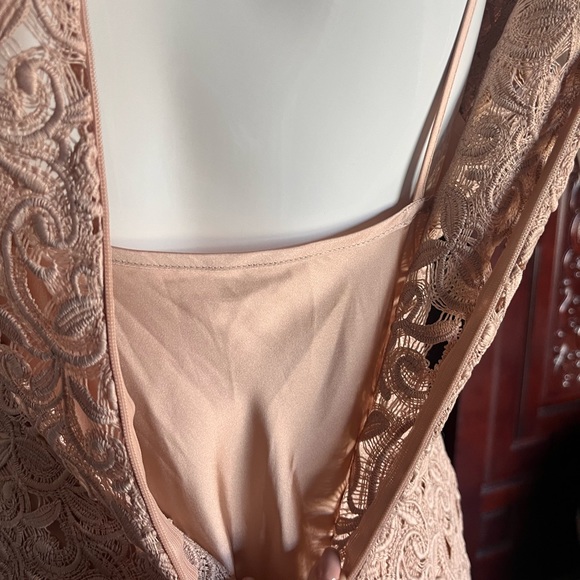 Zara Dress, nude lace sheath with flutter sleeve & neck sz XS - Picture 9 of 10